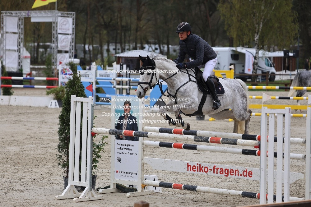 Preview felix ewald mit cheval d amour s IMG_0599.jpg